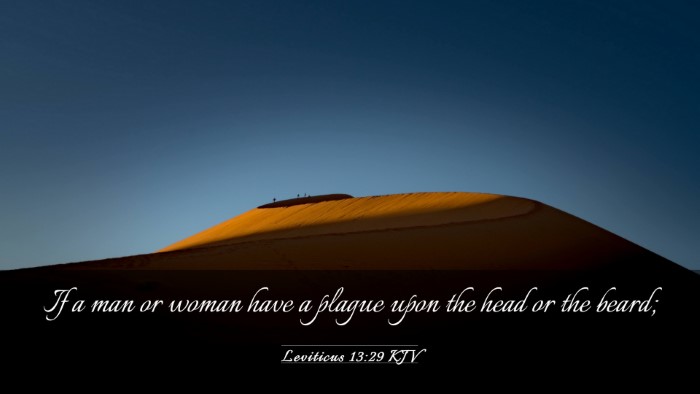Picture 03 - Leviticus 13:29 KJV Desktop Wallpaper - If a man or woman have a plague upon the head or - Desktop Bible Verse Wallpaper