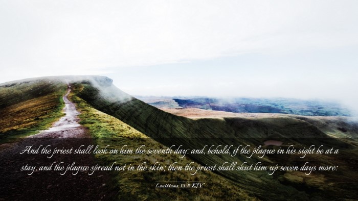 Picture 03 - Leviticus 13:5 KJV Desktop Wallpaper - And the priest shall look on him the seventh day: - Desktop Bible Verse Wallpaper