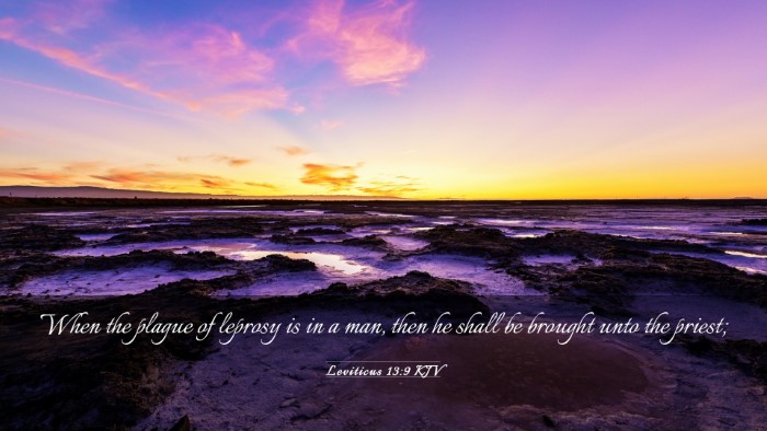 Picture 03 - Leviticus 13:9 KJV Desktop Wallpaper - When the plague of leprosy is in a man, then he - Desktop Bible Verse Wallpaper