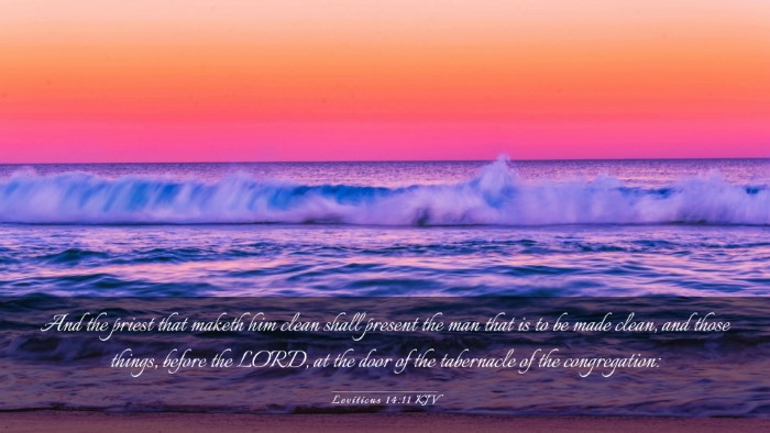 Picture 03 - Leviticus 14:11 KJV Desktop Wallpaper - And the priest that maketh him clean shall - Desktop Bible Verse Wallpaper