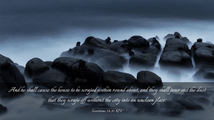 Picture 03 - Leviticus 14:41 KJV Desktop Wallpaper - And he shall cause the house to be scraped within - Desktop Bible Verse Wallpaper