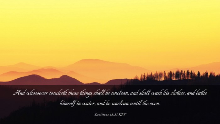 Picture 03 - Leviticus 15:27 KJV Desktop Wallpaper - And whosoever toucheth those things shall be - Desktop Bible Verse Wallpaper