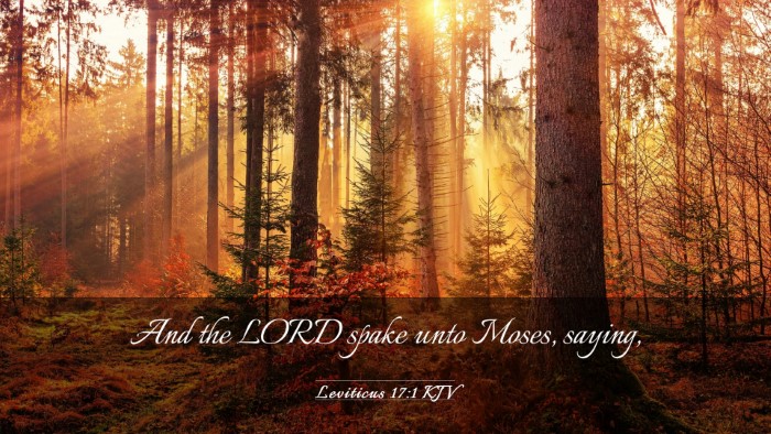 Picture 03 - Leviticus 17:1 KJV Desktop Wallpaper - And the LORD spake unto Moses, - Desktop Bible Verse Wallpaper