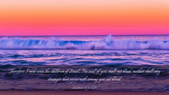 Picture 03 - Leviticus 17:12 KJV Desktop Wallpaper - Therefore I said unto the children of Israel, No - Desktop Bible Verse Wallpaper
