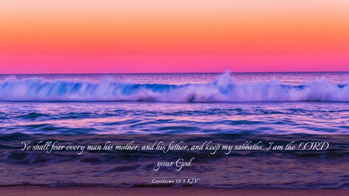 Picture 03 - Leviticus 19:3 KJV Desktop Wallpaper - Ye shall fear every man his mother, and his - Desktop Bible Verse Wallpaper