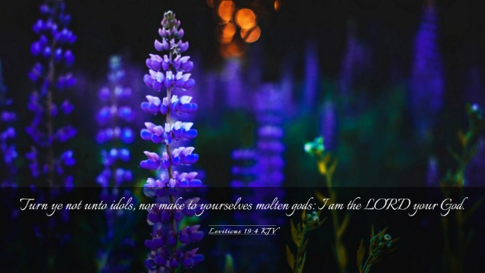Picture 03 - Leviticus 19:4 KJV Desktop Wallpaper - Turn ye not unto idols, nor make to yourselves - Desktop Bible Verse Wallpaper