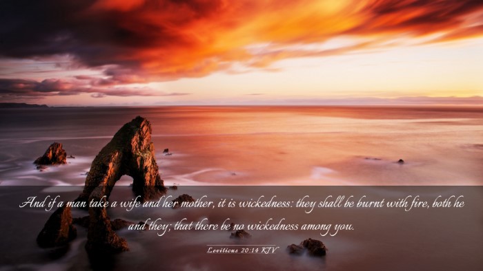 Picture 03 - Leviticus 20:14 KJV Desktop Wallpaper - And if a man take a wife and her mother, it is - Desktop Bible Verse Wallpaper