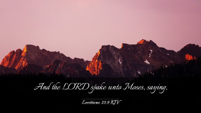 Picture 03 - Leviticus 23:9 KJV Desktop Wallpaper - And the LORD spake unto Moses, - Desktop Bible Verse Wallpaper