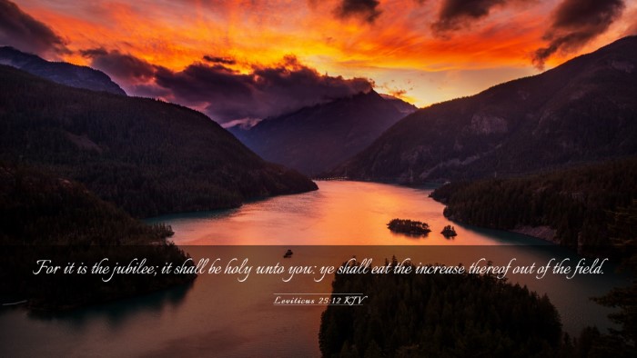 Picture 03 - Leviticus 25:12 KJV Desktop Wallpaper - For it is the jubilee; it shall be holy unto you: - Desktop Bible Verse Wallpaper