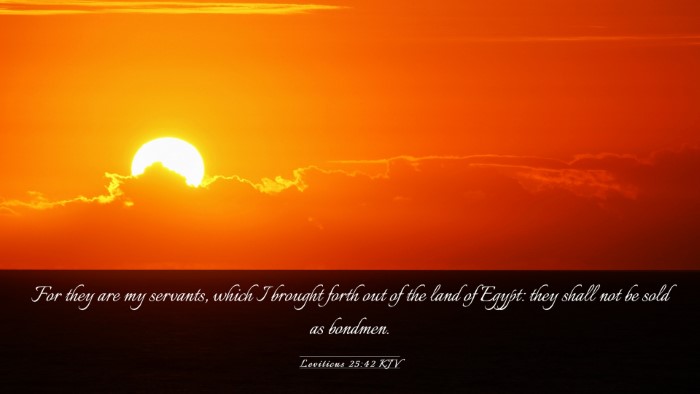 Picture 03 - Leviticus 25:42 KJV Desktop Wallpaper - For they are my servants, which I brought forth - Desktop Bible Verse Wallpaper
