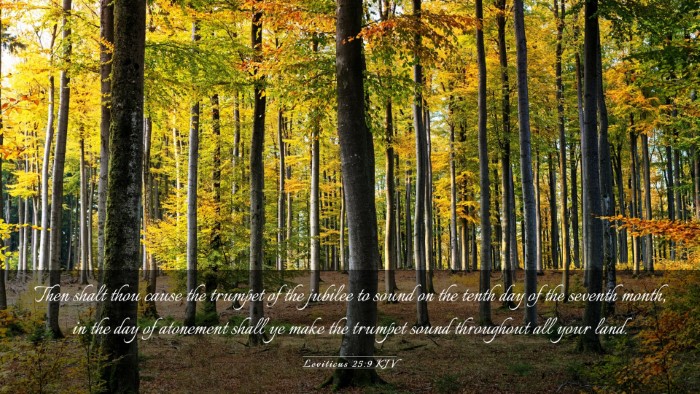 Picture 03 - Leviticus 25:9 KJV Desktop Wallpaper - Then shalt thou cause the trumpet of the jubilee - Desktop Bible Verse Wallpaper