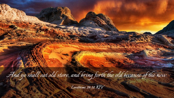 Picture 03 - Leviticus 26:10 KJV Desktop Wallpaper - And ye shall eat old store, and bring forth the - Desktop Bible Verse Wallpaper