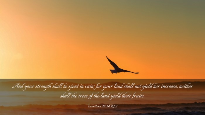Picture 03 - Leviticus 26:20 KJV Desktop Wallpaper - And your strength shall be spent in vain: for - Desktop Bible Verse Wallpaper