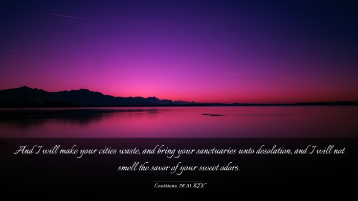Picture 03 - Leviticus 26:31 KJV Desktop Wallpaper - And I will make your cities waste, and bring your - Desktop Bible Verse Wallpaper