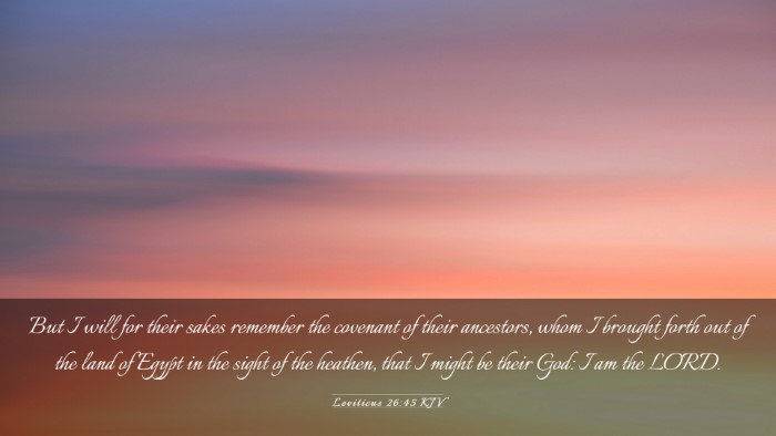 Picture 03 - Leviticus 26:45 KJV Desktop Wallpaper - But I will for their sakes remember the covenant - Desktop Bible Verse Wallpaper
