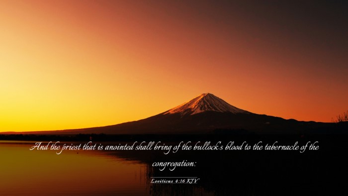 Picture 03 - Leviticus 4:16 KJV Desktop Wallpaper - And the priest that is anointed shall bring of - Desktop Bible Verse Wallpaper