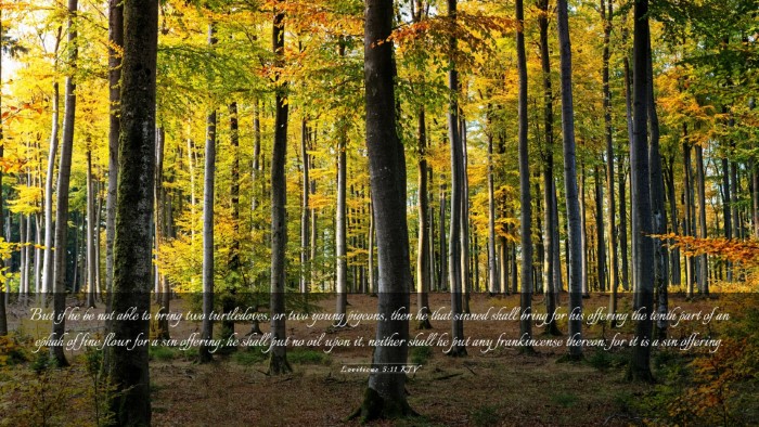 Picture 03 - Leviticus 5:11 KJV Desktop Wallpaper - But if he be not able to bring two turtledoves, - Desktop Bible Verse Wallpaper