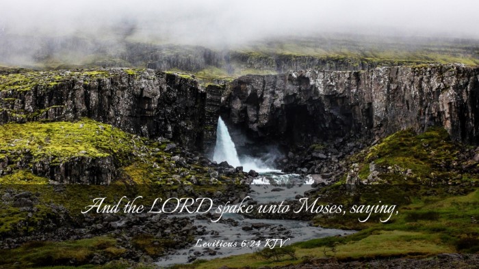 Picture 03 - Leviticus 6:24 KJV Desktop Wallpaper - And the LORD spake unto Moses, - Desktop Bible Verse Wallpaper