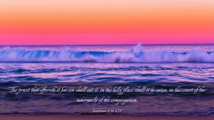 Picture 03 - Leviticus 6:26 KJV Desktop Wallpaper - The priest that offereth it for sin shall eat it: - Desktop Bible Verse Wallpaper