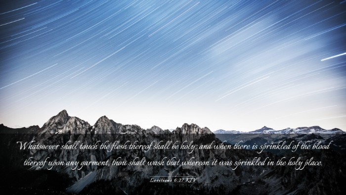 Picture 03 - Leviticus 6:27 KJV Desktop Wallpaper - Whatsoever shall touch the flesh thereof shall be - Desktop Bible Verse Wallpaper