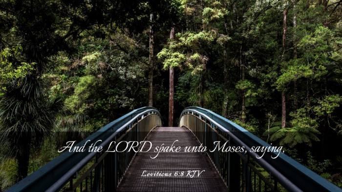 Picture 03 - Leviticus 6:8 KJV Desktop Wallpaper - And the LORD spake unto Moses, - Desktop Bible Verse Wallpaper