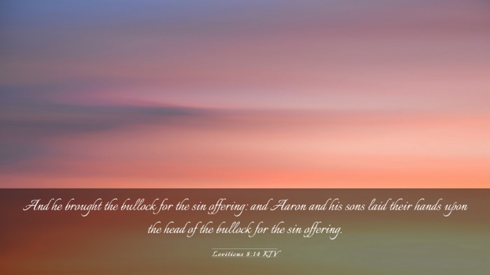 Picture 03 - Leviticus 8:14 KJV Desktop Wallpaper - And he brought the bullock for the sin offering: - Desktop Bible Verse Wallpaper
