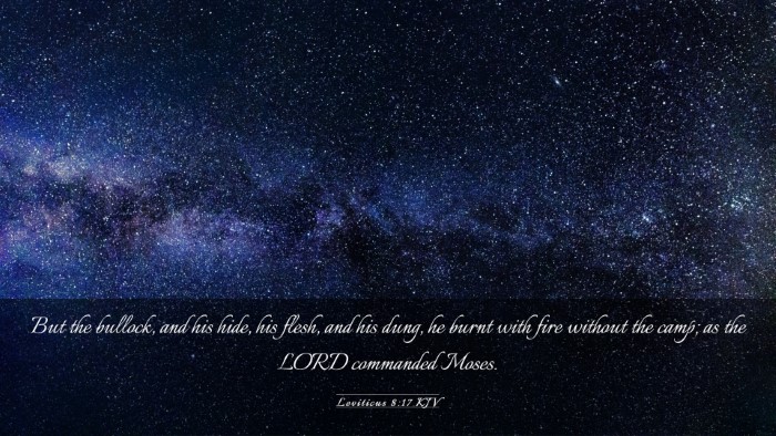 Picture 03 - Leviticus 8:17 KJV Desktop Wallpaper - But the bullock, and his hide, his flesh, and his - Desktop Bible Verse Wallpaper