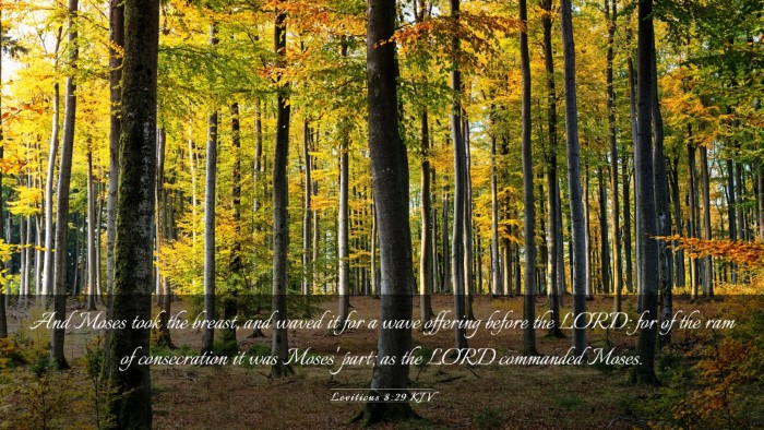 Picture 03 - Leviticus 8:29 KJV Desktop Wallpaper - And Moses took the breast, and waved it for a - Desktop Bible Verse Wallpaper