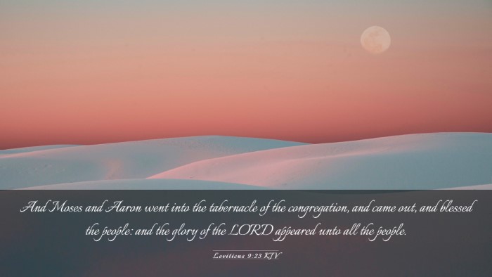 Picture 03 - Leviticus 9:23 KJV Desktop Wallpaper - And Moses and Aaron went into the tabernacle of - Desktop Bible Verse Wallpaper