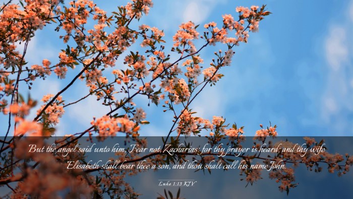 Picture 03 - Luke 1:13 KJV Desktop Wallpaper - But the angel said unto him, Fear not, Zacharias: - Desktop Bible Verse Wallpaper