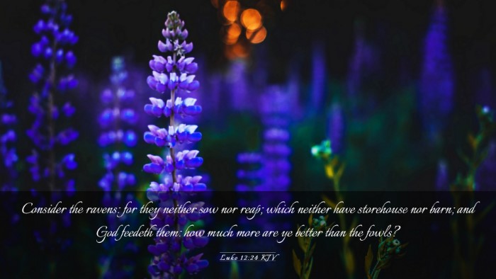 Picture 03 - Luke 12:24 KJV Desktop Wallpaper - Consider the ravens: for they neither sow nor - Desktop Bible Verse Wallpaper