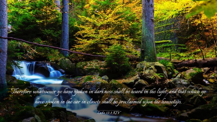 Picture 03 - Luke 12:3 KJV Desktop Wallpaper - Therefore whatsoever ye have spoken in darkness - Desktop Bible Verse Wallpaper