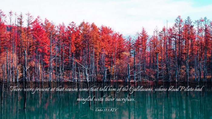 Picture 03 - Luke 13:1 KJV Desktop Wallpaper - There were present at that season some that told - Desktop Bible Verse Wallpaper
