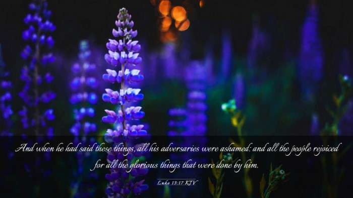 Picture 03 - Luke 13:17 KJV Desktop Wallpaper - And when he had said these things, all his - Desktop Bible Verse Wallpaper