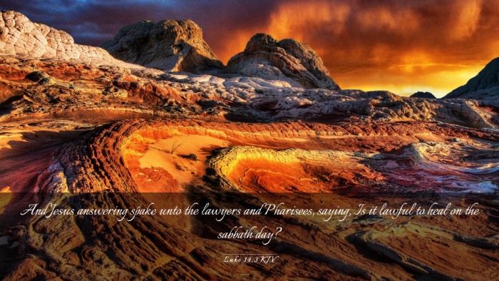 Picture 03 - Luke 14:3 KJV Desktop Wallpaper - And Jesus answering spake unto the lawyers and - Desktop Bible Verse Wallpaper