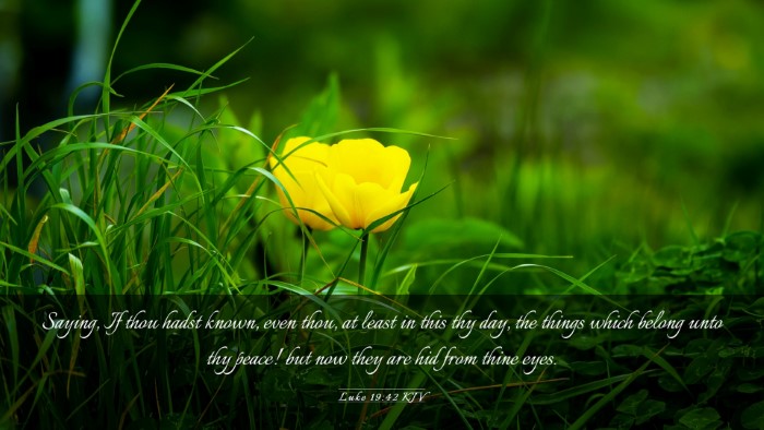 Picture 03 - Luke 19:42 KJV Desktop Wallpaper - Saying, If thou hadst known, even thou, at least - Desktop Bible Verse Wallpaper