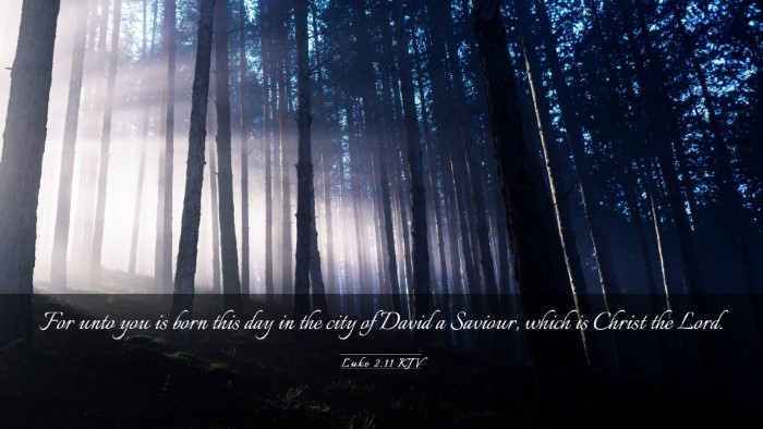 Picture 03 - Luke 2:11 KJV Desktop Wallpaper - For unto you is born this day in the city of - Desktop Bible Verse Wallpaper