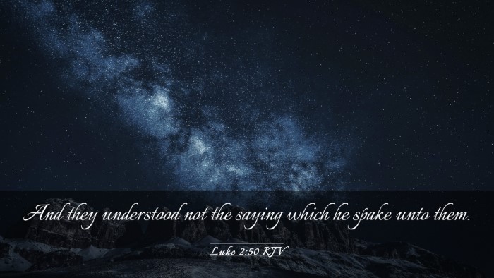 Picture 03 - Luke 2:50 KJV Desktop Wallpaper - And they understood not the saying which he spake - Desktop Bible Verse Wallpaper