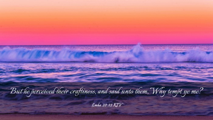 Picture 03 - Luke 20:23 KJV Desktop Wallpaper - But he perceived their craftiness, and said unto - Desktop Bible Verse Wallpaper