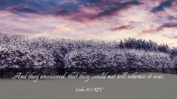 Picture 03 - Luke 20:7 KJV Desktop Wallpaper - And they answered, that they could not tell - Desktop Bible Verse Wallpaper