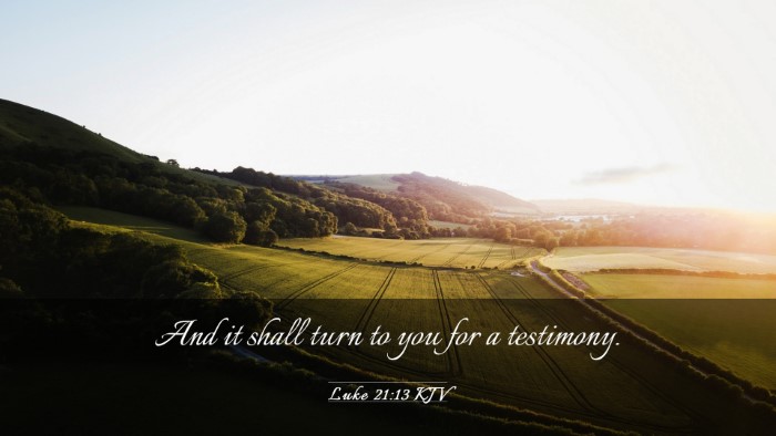 Picture 03 - Luke 21:13 KJV Desktop Wallpaper - And it shall turn to you for a - Desktop Bible Verse Wallpaper