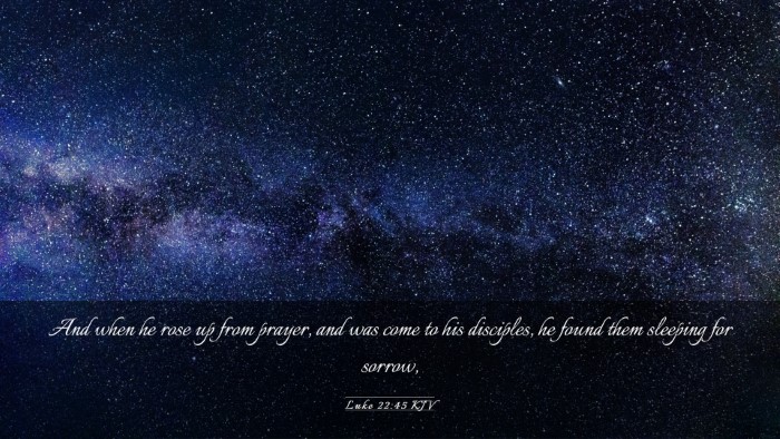 Picture 03 - Luke 22:45 KJV Desktop Wallpaper - And when he rose up from prayer, and was come to - Desktop Bible Verse Wallpaper