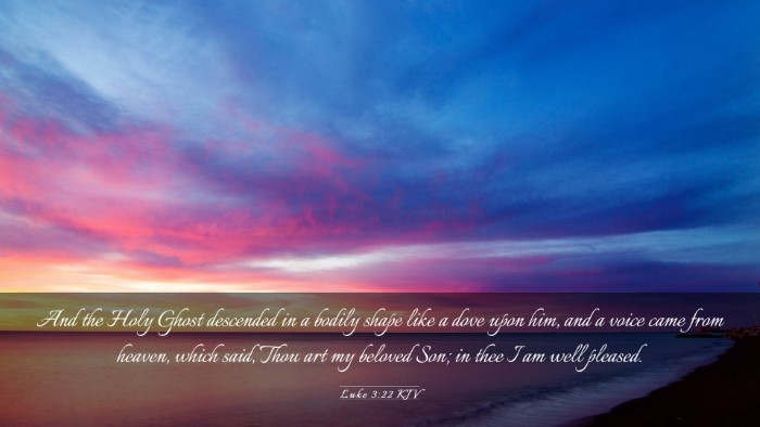 Picture 03 - Luke 3:22 KJV Desktop Wallpaper - And the Holy Ghost descended in a bodily shape - Desktop Bible Verse Wallpaper