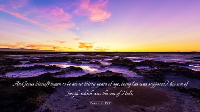 Picture 03 - Luke 3:23 KJV Desktop Wallpaper - And Jesus himself began to be about thirty years - Desktop Bible Verse Wallpaper