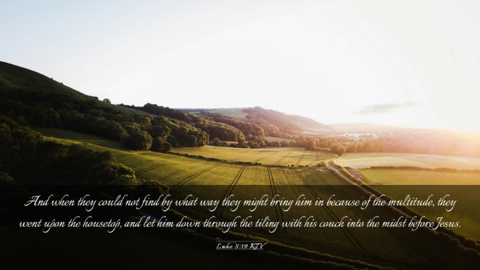 Picture 03 - Luke 5:19 KJV Desktop Wallpaper - And when they could not find by what way they - Desktop Bible Verse Wallpaper