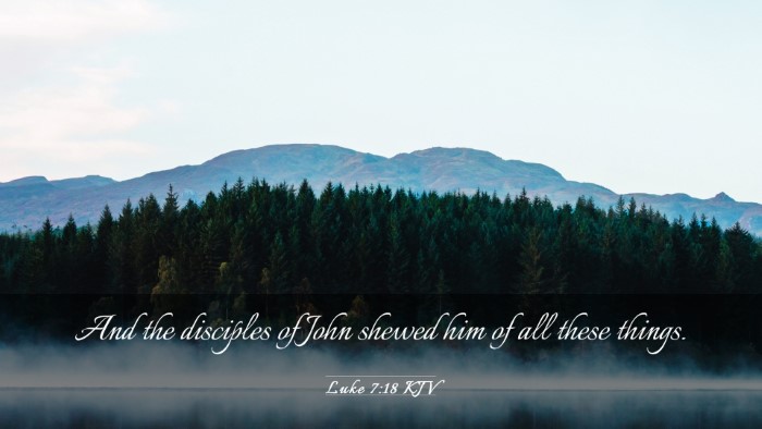 Picture 03 - Luke 7:18 KJV Desktop Wallpaper - And the disciples of John shewed him of all these - Desktop Bible Verse Wallpaper