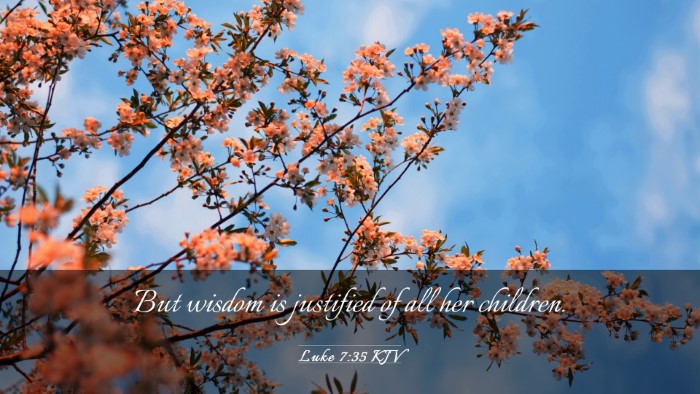 Picture 03 - Luke 7:35 KJV Desktop Wallpaper - But wisdom is justified of all her - Desktop Bible Verse Wallpaper