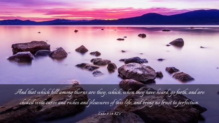 Picture 03 - Luke 8:14 KJV Desktop Wallpaper - And that which fell among thorns are they, which, - Desktop Bible Verse Wallpaper