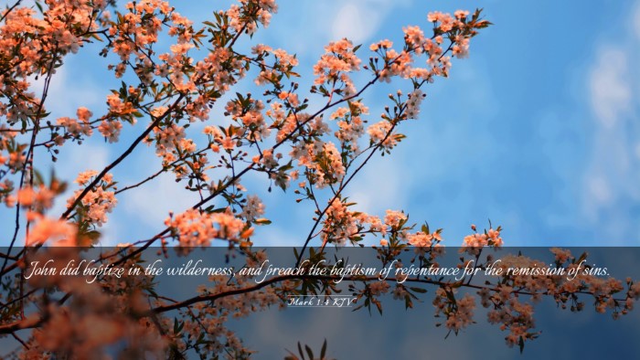 Picture 03 - Mark 1:4 KJV Desktop Wallpaper - John did baptize in the wilderness, and preach - Desktop Bible Verse Wallpaper