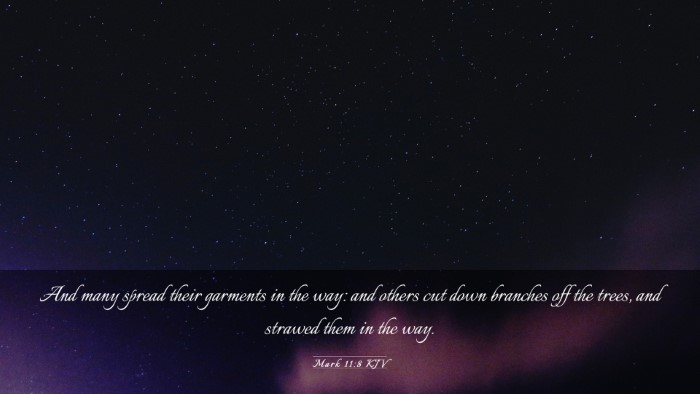 Picture 03 - Mark 11:8 KJV Desktop Wallpaper - And many spread their garments in the way: and - Desktop Bible Verse Wallpaper